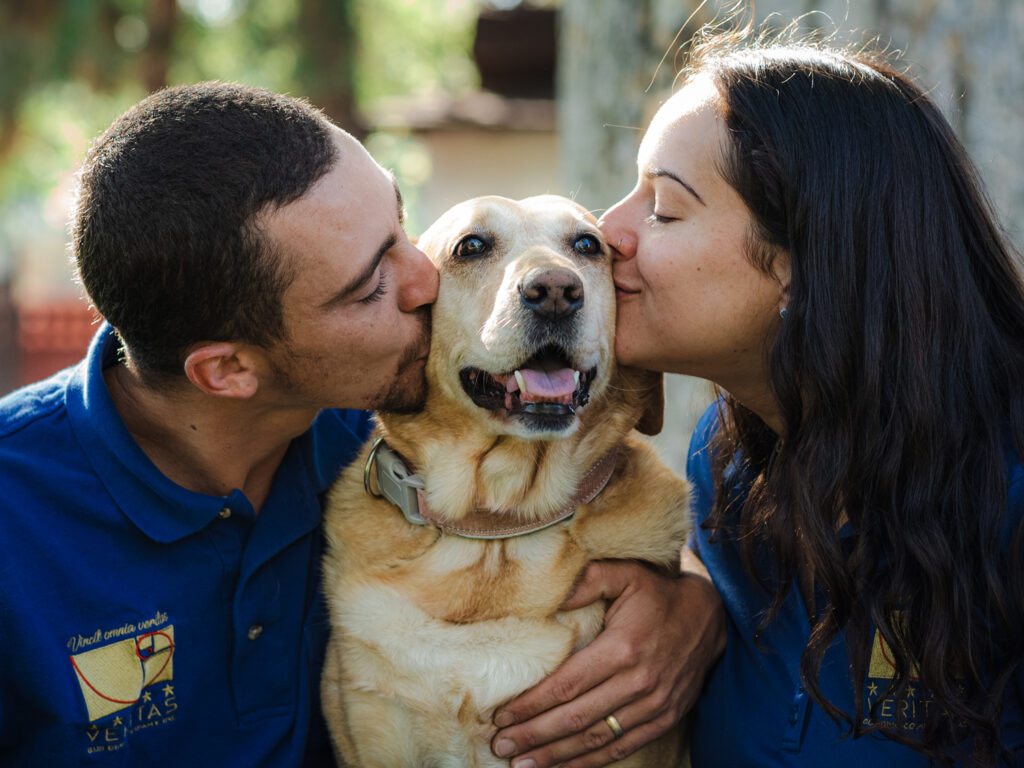 Veritas - Owners - Dog